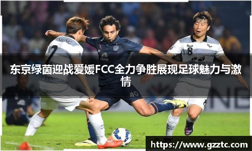 东京绿茵迎战爱媛FCC全力争胜展现足球魅力与激情